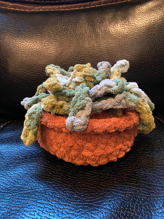 Crocheted House Plant