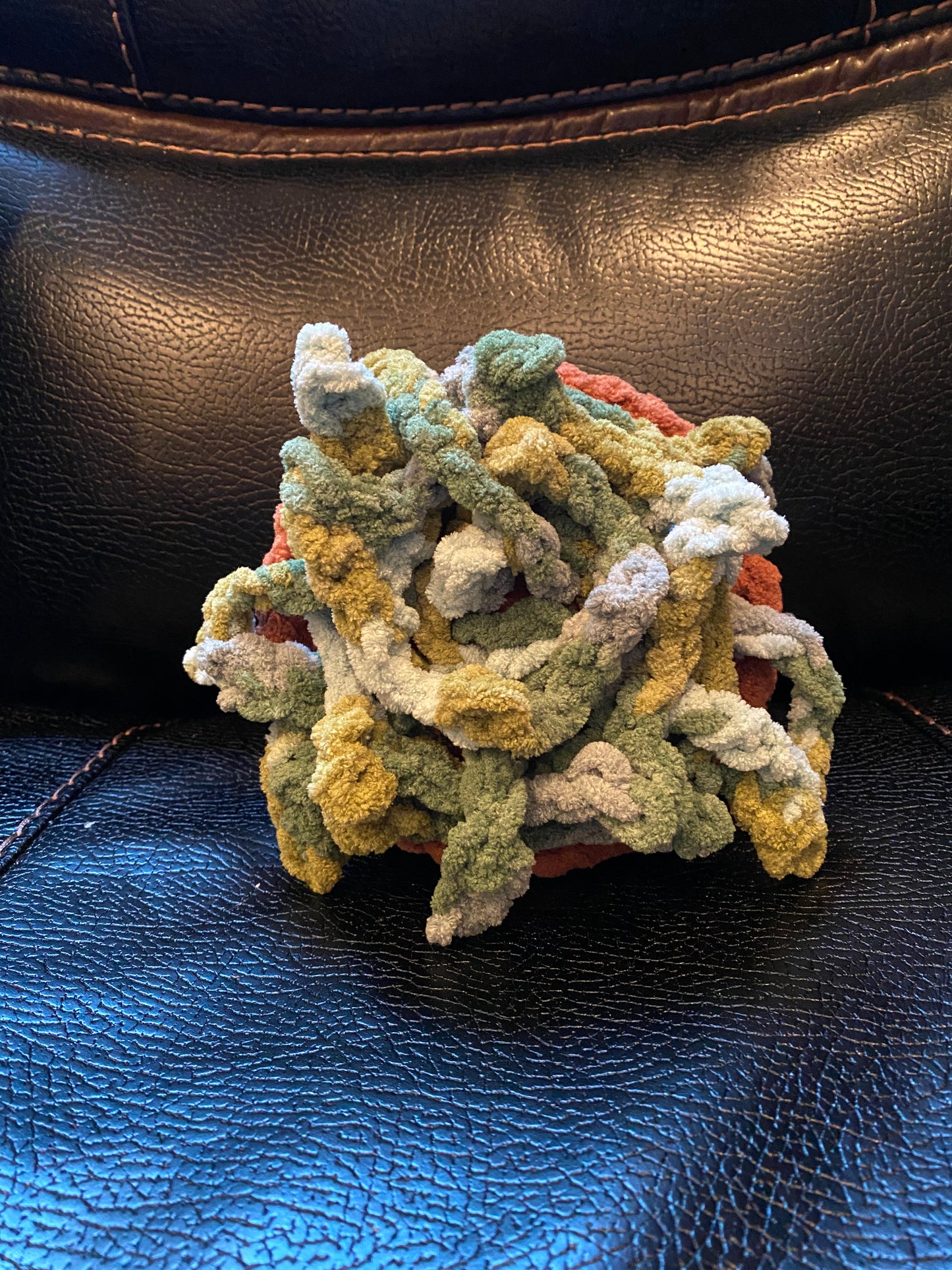 Crocheted House Plant